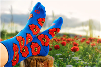 For Goodness Socks
