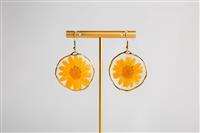 Sunshine Collective By Lola